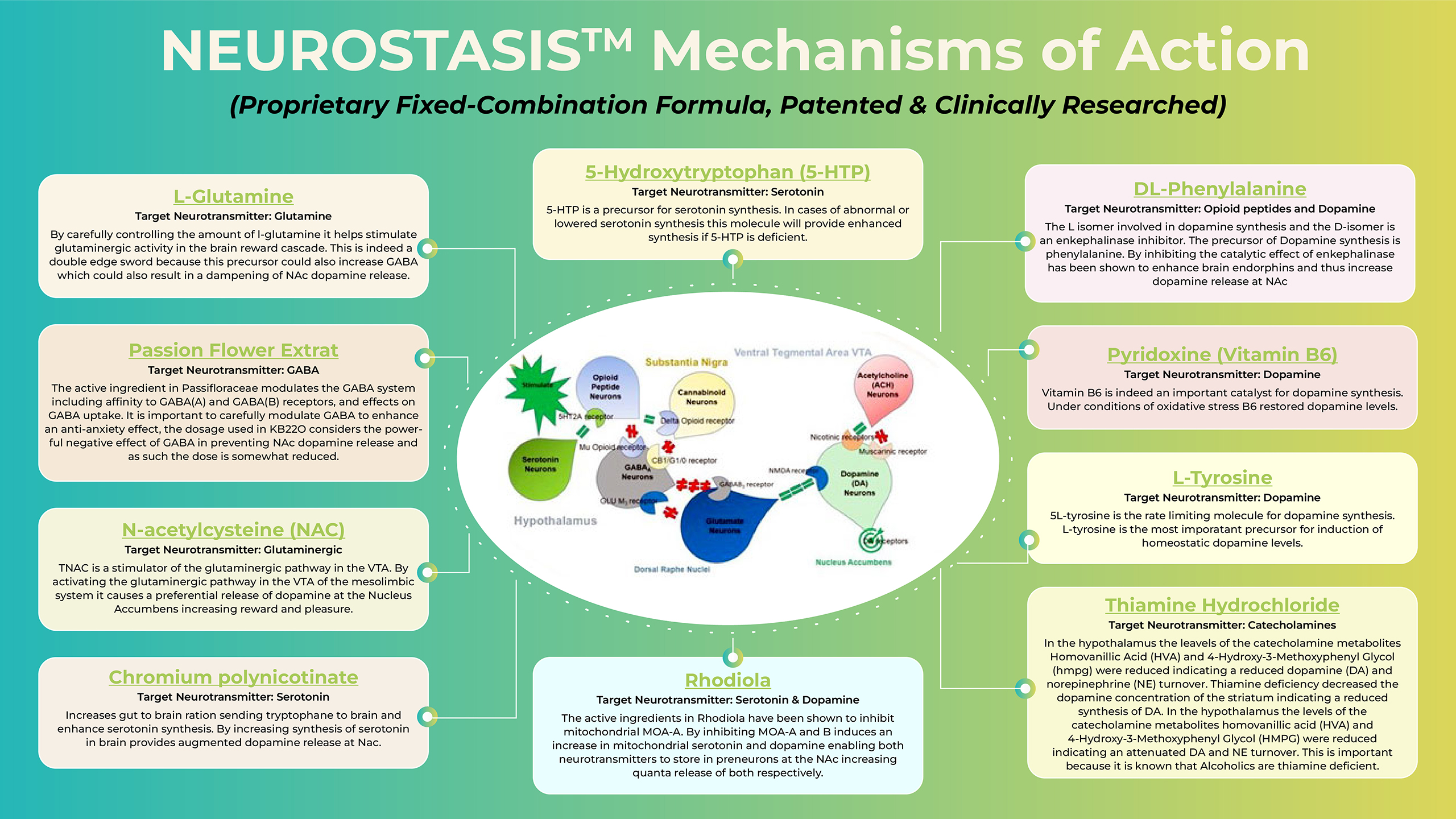 Diagram explaining the mechanisms of action of PROSTASIS™ in prostate health.